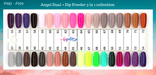 Angel Gel Dual + Dip Powder ( 144 colors ) - 3 in 1 Collection - Angelina Nail Supply NYC