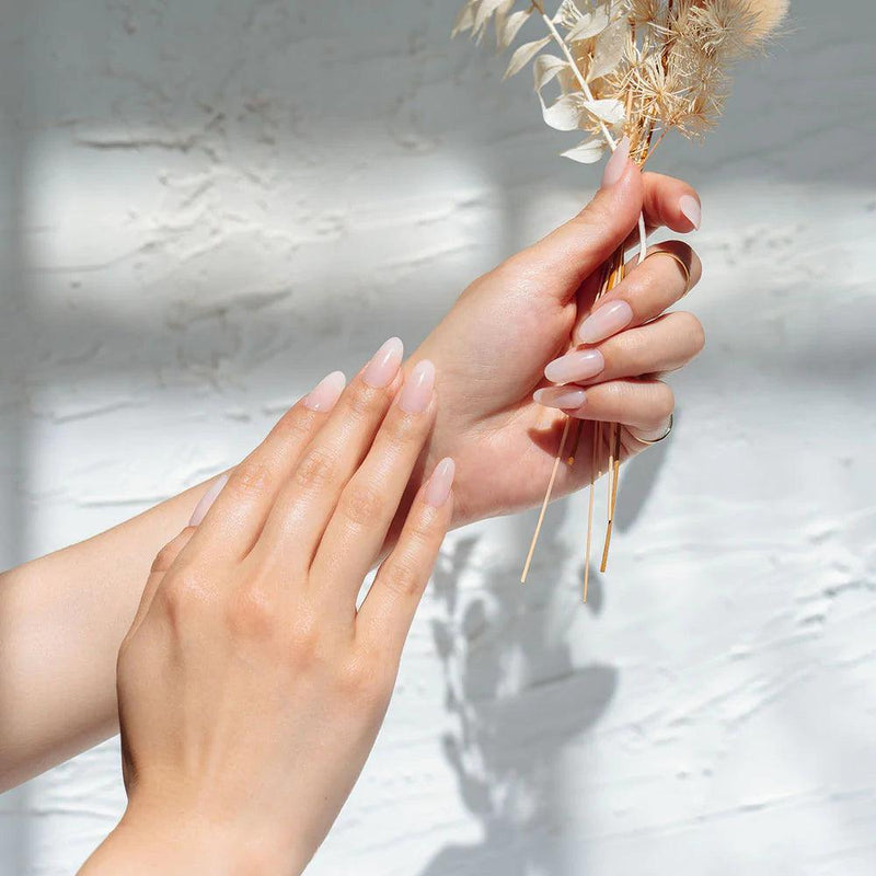 Aprés Box of Tips Sculpted - Coffin - Long Neutrals Maisie - Angelina Nail Supply NYC