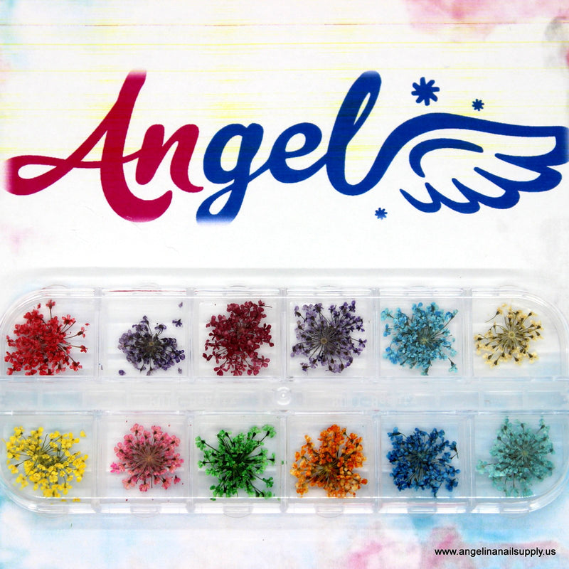 Dry Flower #15 - Angelina Nail Supply NYC