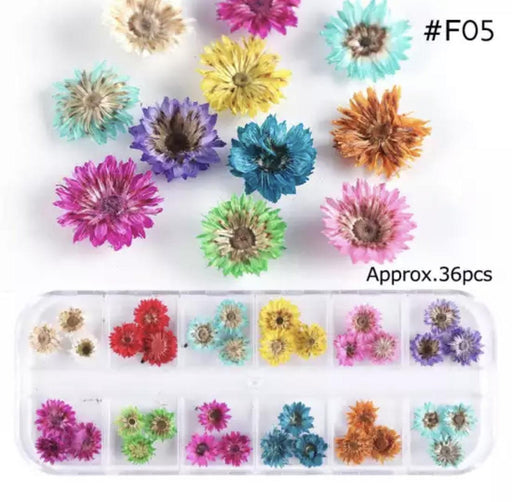 Dry Flower #F05 - Angelina Nail Supply NYC