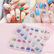 Dry flower #XHD - Angelina Nail Supply NYC