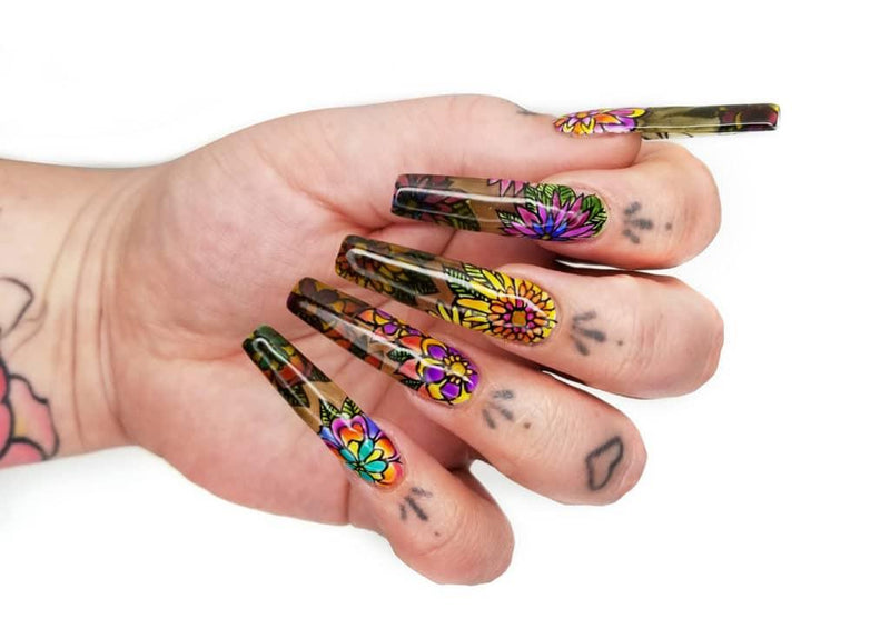 Perception Translucent Gel Complete Set - 01->12 | Perfect Match - Angelina Nail Supply NYC